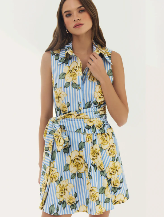 Hutch Biltmore Dress