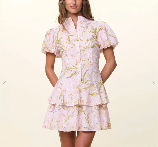 Cleobella Natalie Mini Dress